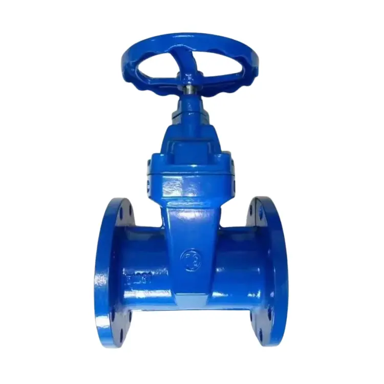 DUCKILE IRON ferburgen roede sêfte seal Flange Gate Valve