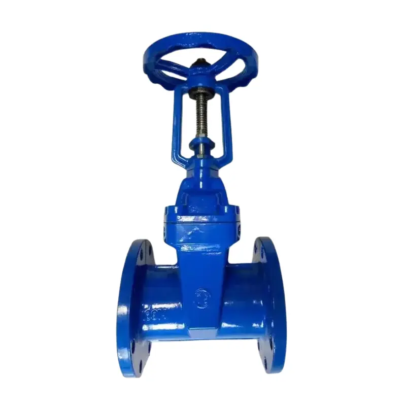DUCKILE IRON ISE STEM SFE SFOL SEAD FLANDE VALVE